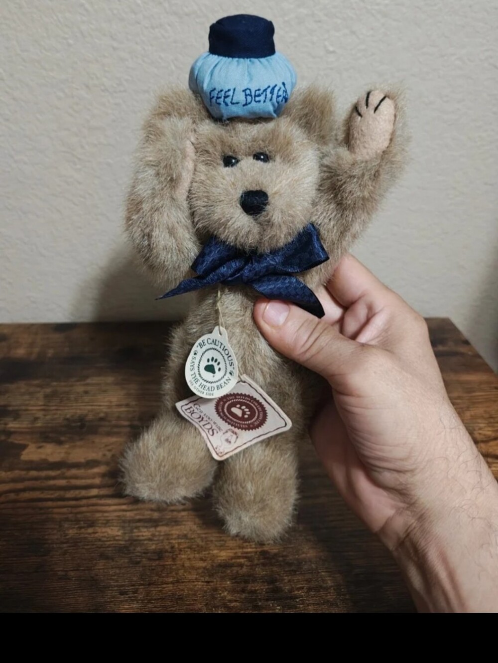 Early 2000s Retired Poor Ol' Bear" (Style #903007) The Boyds Collection Plush.